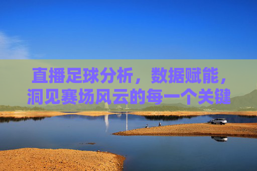 直播足球分析，数据赋能，洞见赛场风云的每一个关键节点
