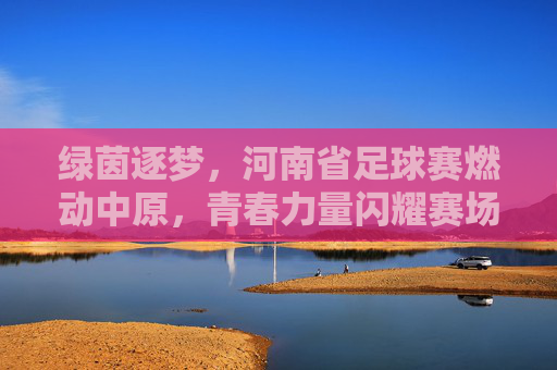 绿茵逐梦，河南省足球赛燃动中原，青春力量闪耀赛场，绿茵逐梦，河南省足球赛燃动中原，青春力量闪耀赛场
