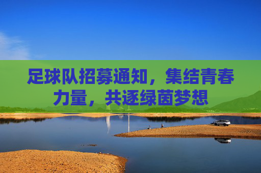 足球队招募通知，集结青春力量，共逐绿茵梦想