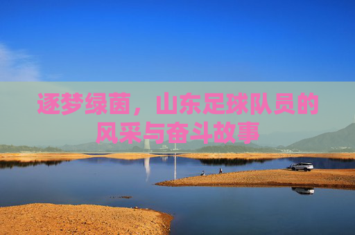 逐梦绿茵，山东足球队员的风采与奋斗故事