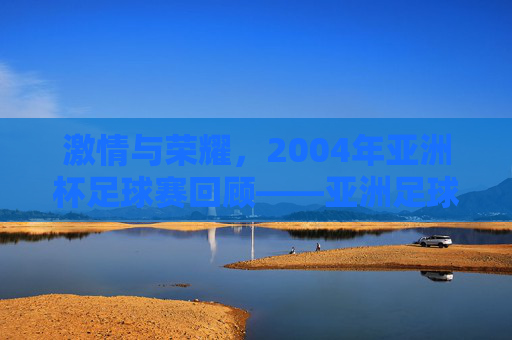 激情与荣耀，2004年亚洲杯足球赛回顾——亚洲足球的巅峰对决与时代印记，激情与荣耀，2004年亚洲杯足球赛回顾——亚洲足球的巅峰对决与时代印记