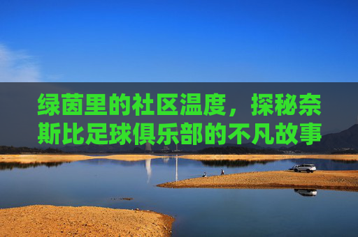 绿茵里的社区温度，探秘奈斯比足球俱乐部的不凡故事，绿茵里的社区温度，探秘奈斯比足球俱乐部的不凡故事