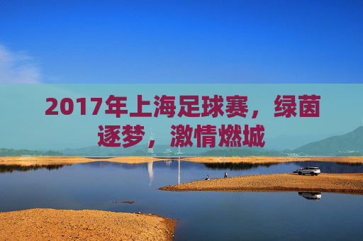 2017年上海足球赛,绿茵逐梦,激情燃城