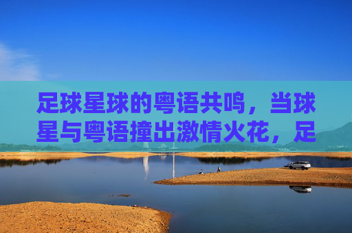足球星球的粤语共鸣,当球星与粤语撞出激情火花,足球星球的粤语共鸣,当球星与粤语撞出激情火花