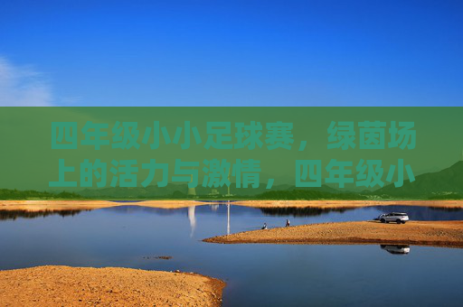 四年级小小足球赛，绿茵场上的活力与激情，四年级小小足球赛，绿茵场上的活力与激情