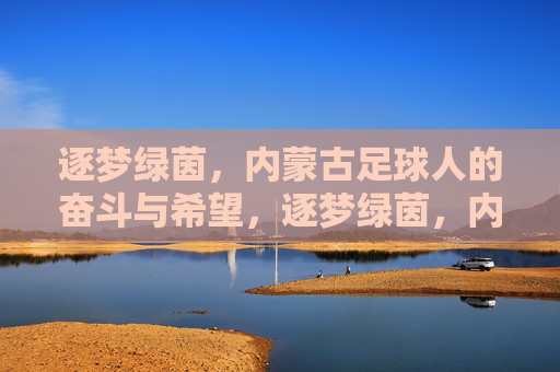 逐梦绿茵，内蒙古足球人的奋斗与希望，逐梦绿茵，内蒙古足球人的奋斗与希望