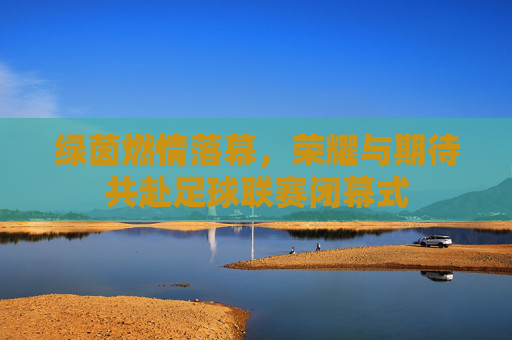 绿茵燃情落幕,荣耀与期待共赴足球联赛闭幕式