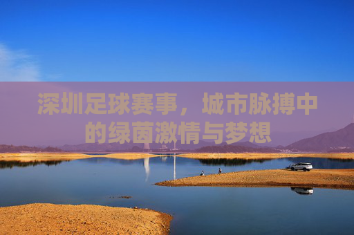深圳足球赛事,城市脉搏中的绿茵激情与梦想