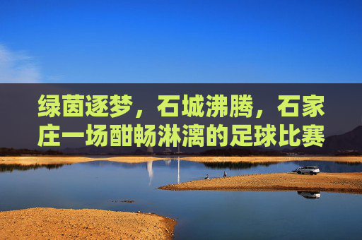 绿茵逐梦，石城沸腾，石家庄一场酣畅淋漓的足球比赛纪实，绿茵逐梦，石城沸腾，石家庄一场酣畅淋漓的足球比赛纪实