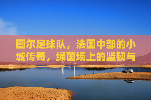 图尔足球队，法国中部的小城传奇，绿茵场上的坚韧与希望，图尔足球队，法国中部小城传奇，绿茵场上的坚韧与希望