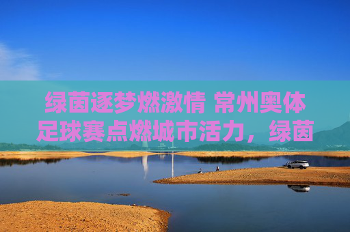 绿茵逐梦燃激情 常州奥体足球赛点燃城市活力，绿茵逐梦燃激情 常州奥体足球赛点燃城市活力