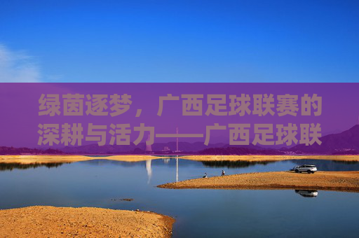绿茵逐梦,广西足球联赛的深耕与活力——广西足球联赛的地域魅力与时代担当,绿茵逐梦,广西足球联赛的深耕与活力——广西足球联赛的地域魅力与时代担当