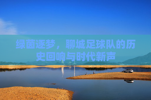 绿茵逐梦,聊城足球队的历史回响与时代新声