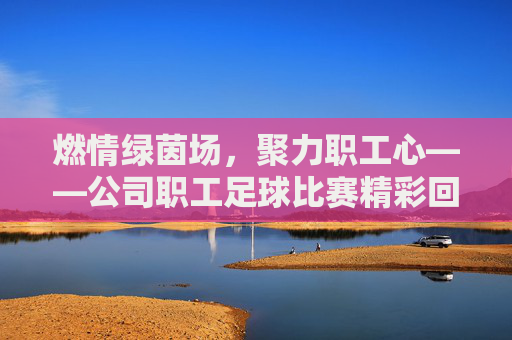 燃情绿茵场，聚力职工心——公司职工足球比赛精彩回顾，燃情绿茵场，聚力职工心——公司职工足球比赛精彩回顾