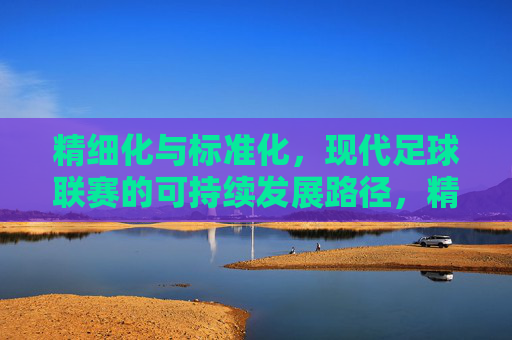 精细化与标准化,现代足球联赛的可持续发展路径,精细化与标准化,现代足球联赛的可持续发展路径