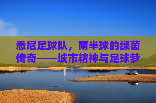 悉尼足球队,南半球的绿茵传奇——城市精神与足球梦想的交汇点