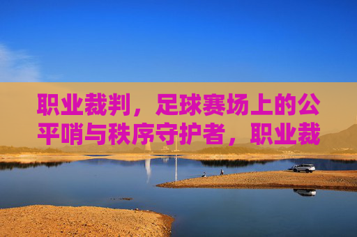 职业裁判，足球赛场上的公平哨与秩序守护者，职业裁判，足球赛场上的公平哨与秩序守护者