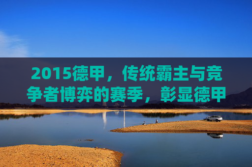 2015德甲，传统霸主与竞争者博弈的赛季，彰显德甲稳定与激情的独特魅力，2015德甲，传统霸主与竞争者博弈的赛季，彰显德甲稳定与激情的独特魅力