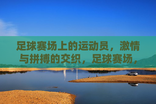 足球赛场上的运动员，激情与拼搏的交织，足球赛场，运动员的激情与拼搏交织
