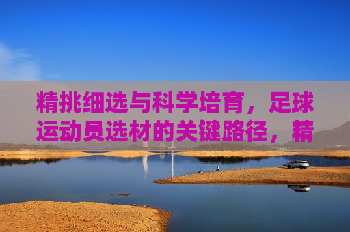 精挑细选与科学培育，足球运动员选材的关键路径，精挑细选与科学培育，足球运动员选材的关键路径