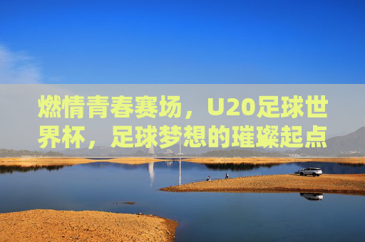 燃情青春赛场,U20足球世界杯,足球梦想的璀璨起点,燃情青春赛场,U20足球世界杯,足球梦想的璀璨起点