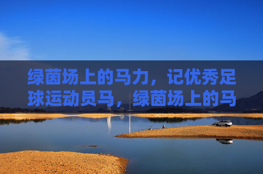绿茵场上的马力,记优秀足球运动员马,绿茵场上的马力,记优秀足球运动员马