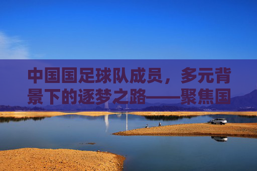 中国国足球队成员，多元背景下的逐梦之路——聚焦国家队球员的奋斗与担当，中国国足球队成员，多元背景下的逐梦之路——聚焦国家队球员的奋斗与担当