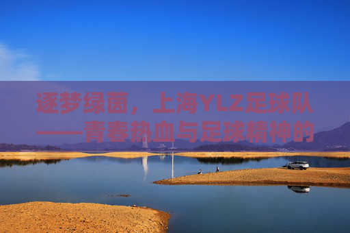 逐梦绿茵，上海YLZ足球队——青春热血与足球精神的集结地，逐梦绿茵，上海YLZ足球队——青春热血与足球精神的集结地