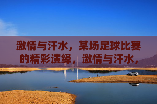 激情与汗水，某场足球比赛的精彩演绎，激情与汗水，一场足球比赛的精彩演绎