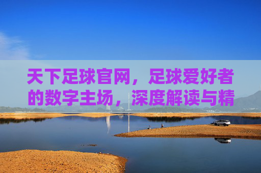 天下足球官网，足球爱好者的数字主场，深度解读与精彩内容分享，天下足球官网，足球爱好者的数字主场，深度解读与精彩内容分享