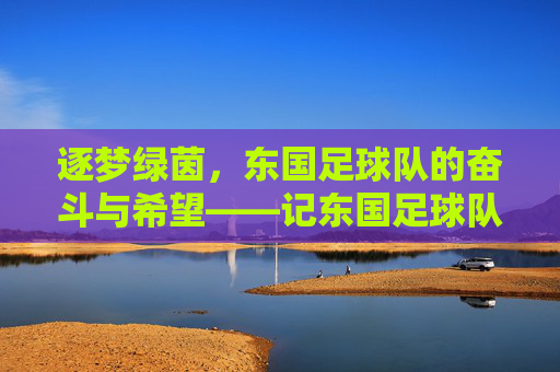 逐梦绿茵，东国足球队的奋斗与希望——记东国足球队的发展历程，逐梦绿茵，东国足球队的奋斗与希望——记东国足球队的发展历程