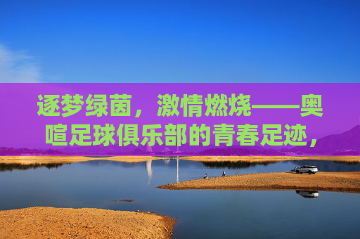 逐梦绿茵，激情燃烧——奥喧足球俱乐部的青春足迹，逐梦绿茵，激情燃烧——奥喧足球俱乐部的青春足迹