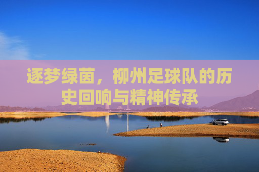 逐梦绿茵,柳州足球队的历史回响与精神传承