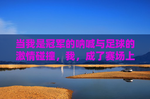 当我是冠军的呐喊与足球的激情碰撞,我,成了赛场上的那抹亮色,当冠军呐喊与足球激情碰撞,我,成为赛场上的亮色