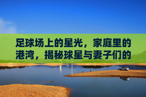 足球场上的星光，家庭里的港湾，揭秘球星与妻子们的足球+爱故事，足球场上的星光，家庭里的港湾，揭秘球星与妻子的足球爱故事