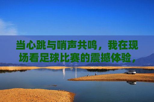 当心跳与哨声共鸣,我在现场看足球比赛的震撼体验,当心跳与哨声共鸣,我在现场看足球比赛的震撼体验
