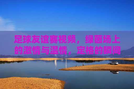 足球友谊赛视频，绿茵场上的激情与温情，定格的瞬间与未说出口的默契，足球友谊赛，绿茵场上的激情与温情，定格瞬间与未说出口的默契
