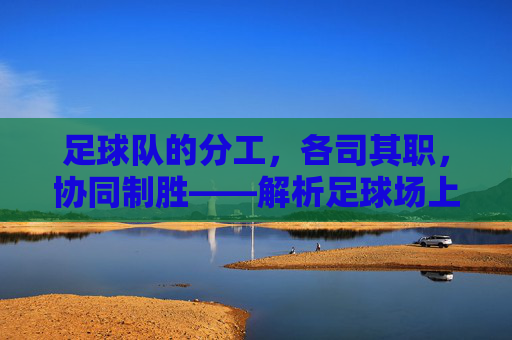 足球队的分工，各司其职，协同制胜——解析足球场上力量的整合之道，足球队的分工与协同，解析力量整合的制胜之道