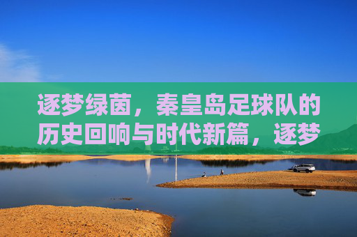 逐梦绿茵，秦皇岛足球队的历史回响与时代新篇，逐梦绿茵，秦皇岛足球队的历史回响与时代新篇