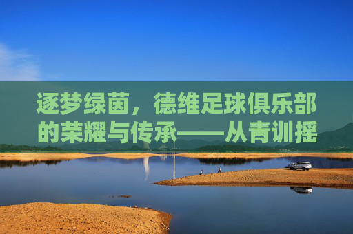 逐梦绿茵,德维足球俱乐部的荣耀与传承——从青训摇篮到职业赛场的不懈追求,逐梦绿茵,德维足球俱乐部的荣耀与传承——从青训摇篮到职业赛场的不懈追求