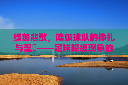 绿茵悲歌，降级球队的挣扎与涅槃——足球降级现象的深度剖析，绿茵悲歌，降级球队的挣扎与涅槃——足球降级现象的深度剖析