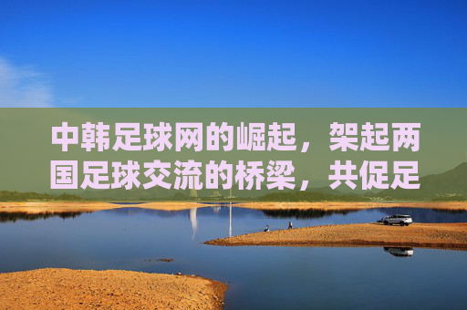 中韩足球网的崛起，架起两国足球交流的桥梁，共促足球文化交融，中韩足球网崛起，架起两国足球交流桥梁，共促足球文化交融