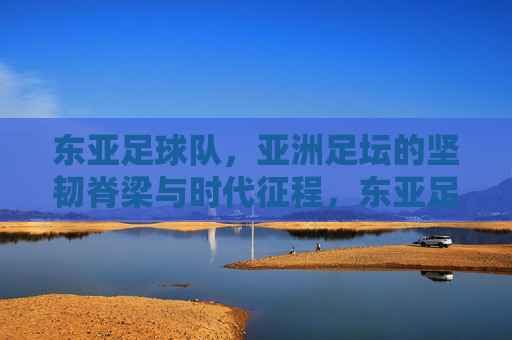 东亚足球队,亚洲足坛的坚韧脊梁与时代征程,东亚足球队,亚洲足坛的坚韧脊梁与时代征程