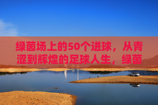 绿茵场上的50个进球，从青涩到辉煌的足球人生，绿茵场上的50个进球，足球人生从青涩到辉煌