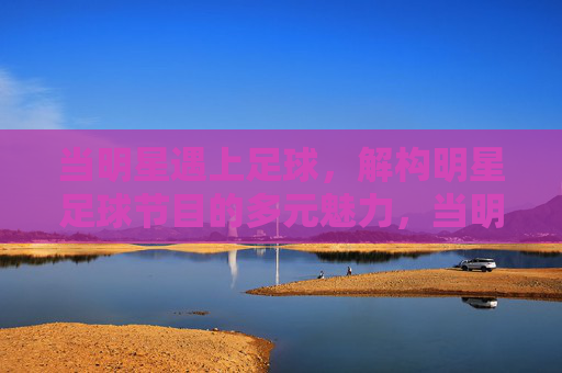 当明星遇上足球，解构明星足球节目的多元魅力，当明星遇上足球，解构明星足球节目的多元魅力