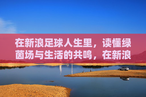 在新浪足球人生里，读懂绿茵场与生活的共鸣，在新浪足球人生里，读懂绿茵场与生活的共鸣