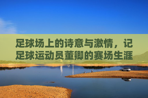 足球场上的诗意与激情，记足球运动员董卿的赛场生涯，足球场上的诗意与激情，记足球运动员董卿的赛场生涯