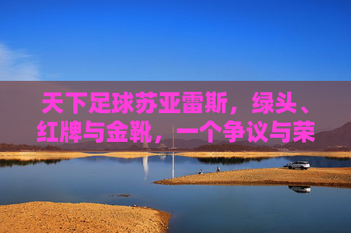天下足球苏亚雷斯，绿头、红牌与金靴，一个争议与荣耀交织的足球传奇，天下足球，苏亚雷斯，绿头、红牌与金靴，一个争议与荣耀交织的足球传奇