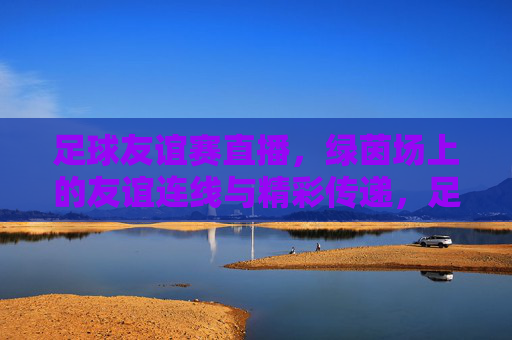 足球友谊赛直播，绿茵场上的友谊连线与精彩传递，足球友谊赛直播，绿茵场上的友谊连线与精彩传递