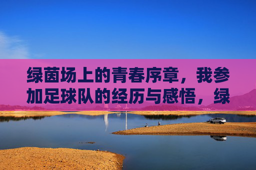 绿茵场上的青春序章，我参加足球队的经历与感悟，绿茵场上的青春序章，我参加足球队的经历与感悟